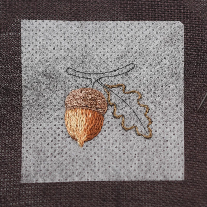 Outline the leaf with DMC 610 using split stitch.